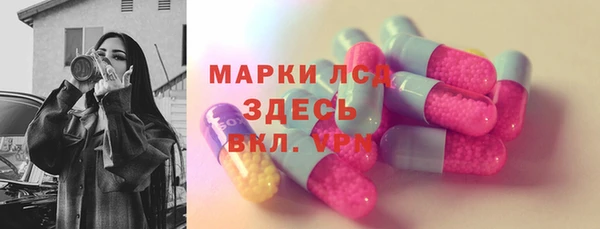 прущие грибы Заволжск
