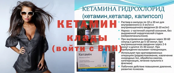прущие грибы Заволжск